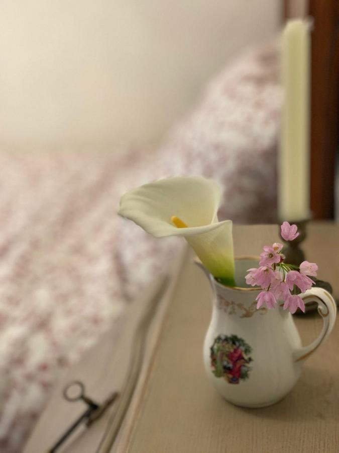 La Cle De La Porte B&B アンティーブ エクステリア 写真