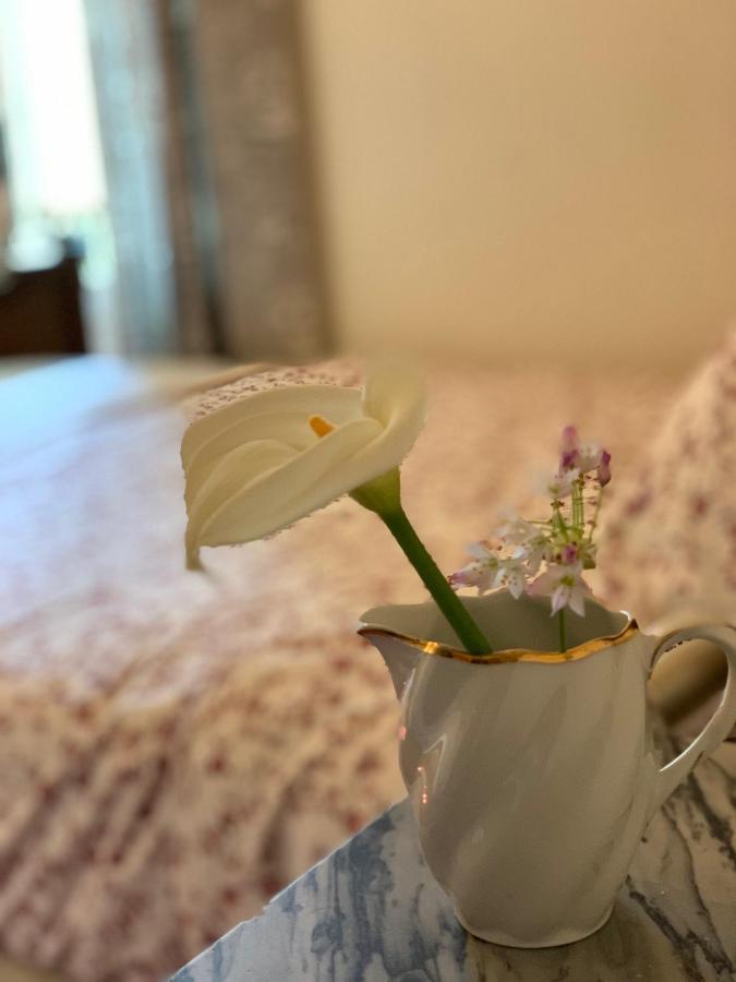 La Cle De La Porte B&B アンティーブ エクステリア 写真